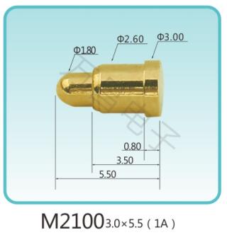 M2100 3.0x5.5(1A)